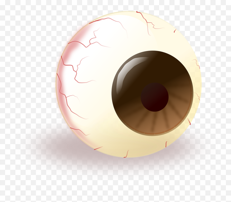 Eye Eyeball Brown Pupil Public Domain - Funny Eye Png,Evil Eyeball Icon