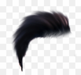 Cb Editing Hair Png Zip File Download - One Side Hair Png,New Pngs