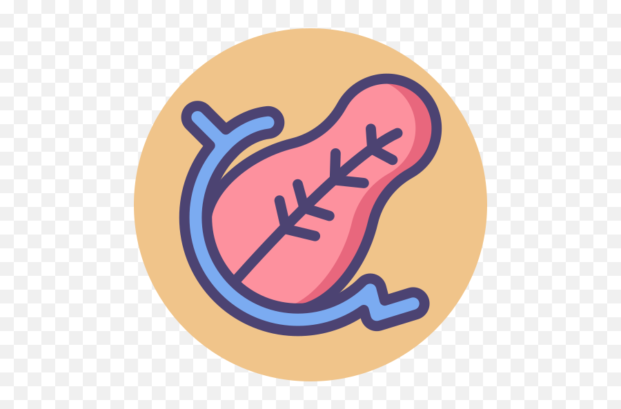 Pancreas - Pancreas Organ Logo Png,Pancreas Icon