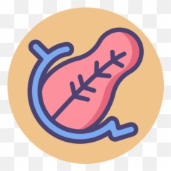 Pancreas - Organ Logo Png