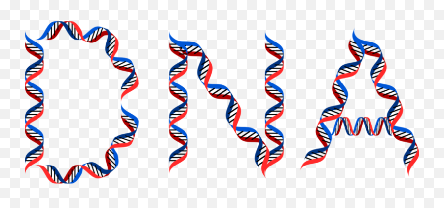 Dna Learning Center Archives - Page 2 Of 7 Cold Spring Genetics For Kids Png,Love Season Icon Pop Quiz