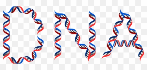 Dna Learning Center Archives - Page 2 of 7 Cold Spring Genetics For Kids png