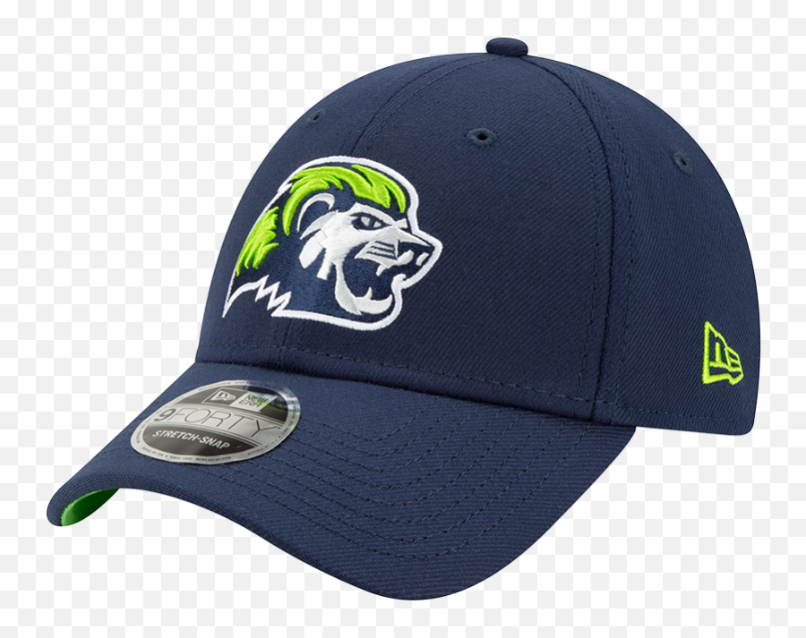 Niagara River Lions 9forty Stretch Snap Icon Cap - Washington Nationals Hats Low Price Png,Lions Icon