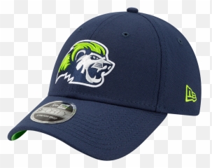 Niagara River Lions 9forty Stretch Snap Icon Cap - Washington Nationals Hats Low Price png