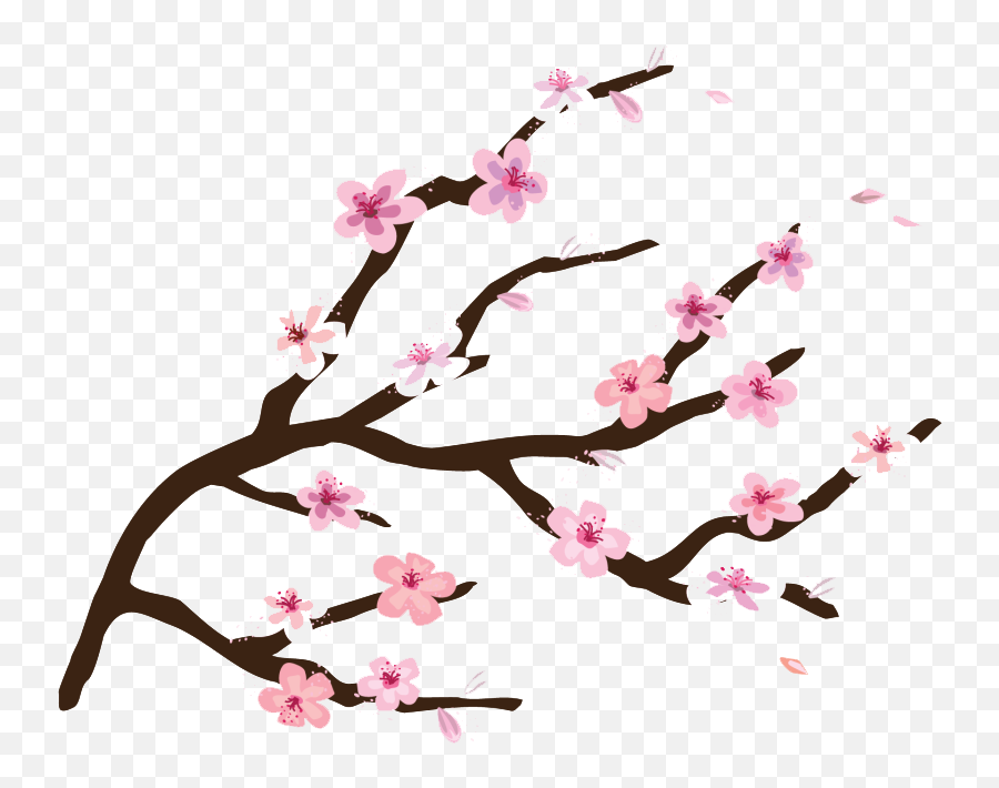 Collection Of Peach Blossom Png Images - Easy Cherry Blossom Tree Clipart,Tong Hop Icon Dep