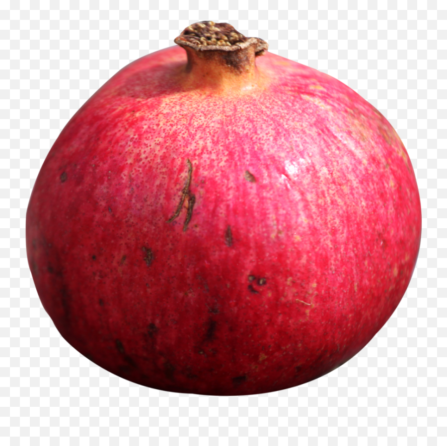 Pomegranate Png Image - Portable Network Graphics,Pomegranate Transparent