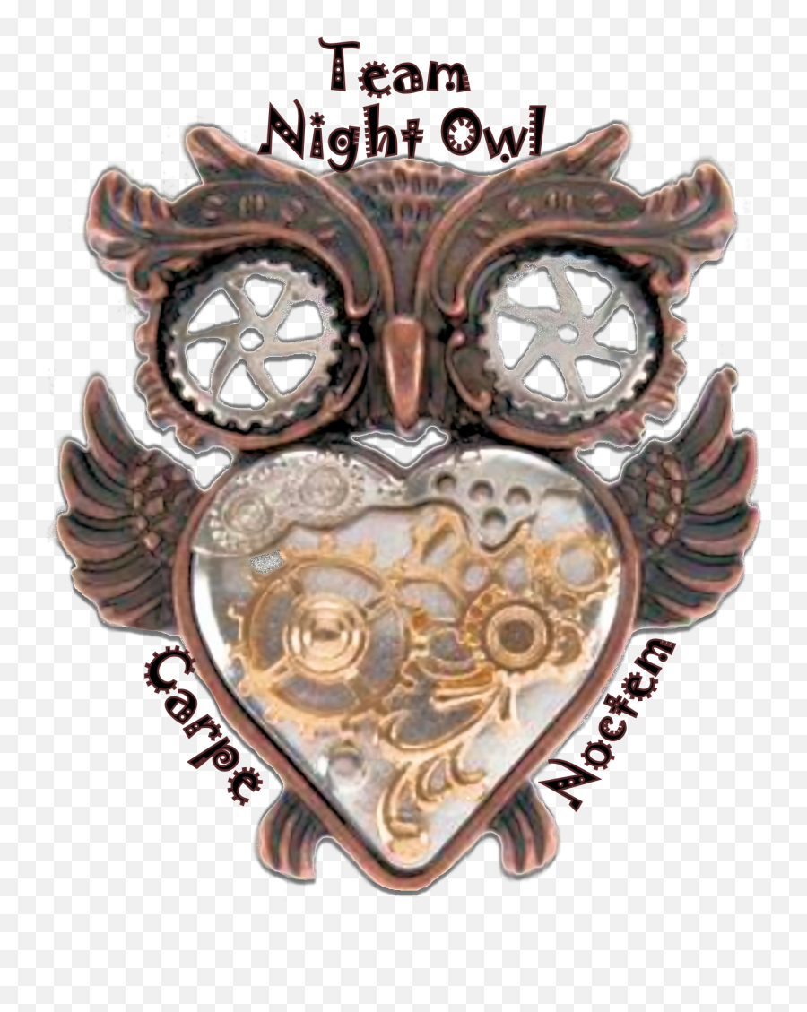 Team Night Owl - Solid Png,Night Owl Icon