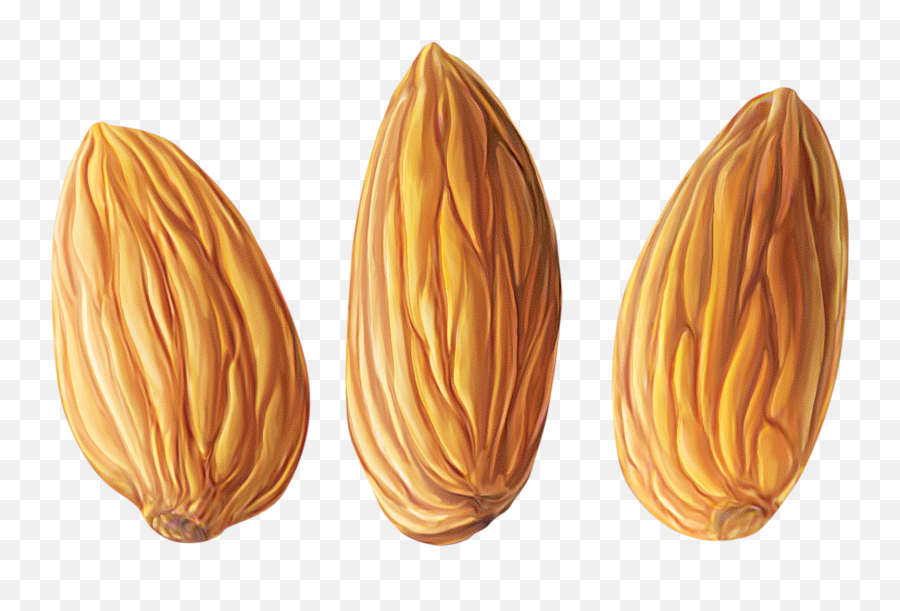 Almond Png Almonds