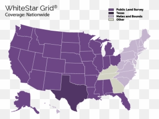 Whitestar Grid - Red Vs Blue States png
