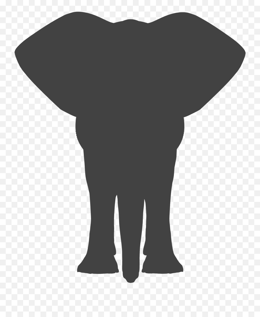 Picture - Elephant Front View Vector Png,Elephant Silhouette Png