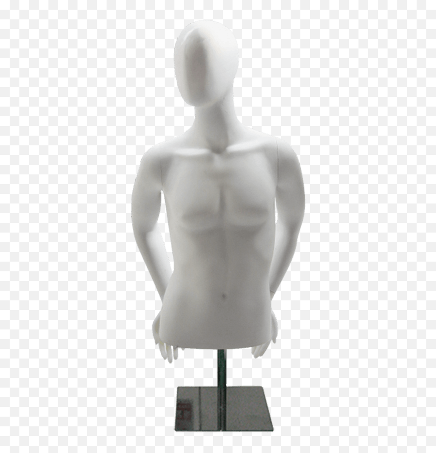 Male Torso U0026 Elements U2014 Bernstein Display Png