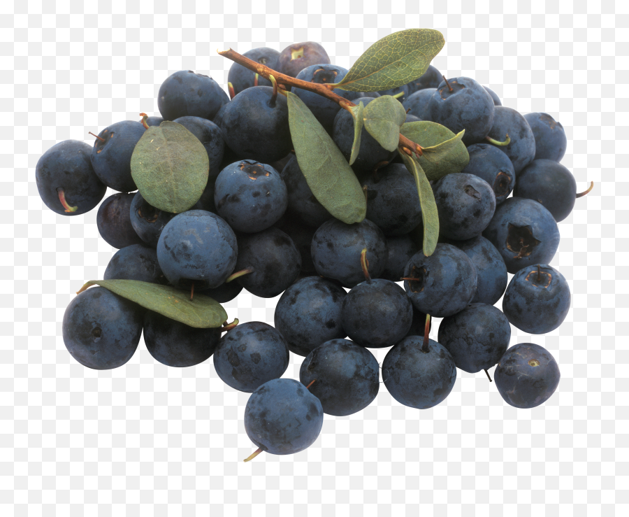 Blueberries Png In High Resolution - Blueberry,Blueberries Png