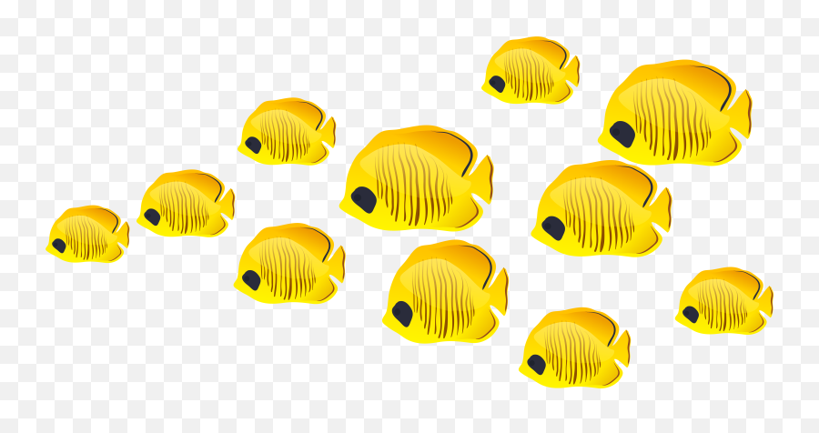 Download Hd Transparent Background Png Fish - Fishes Clipart Png,Fish Emoji Png