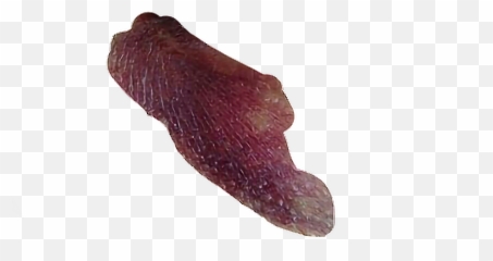 Bruise Png - Beef Tenderloin,Bruise Png
