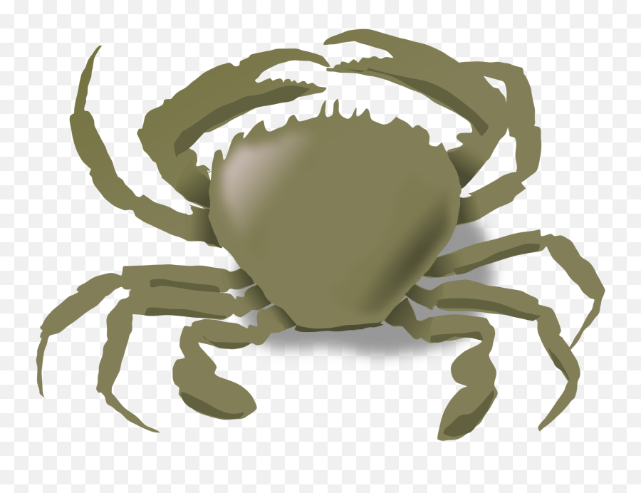 The Crab Png Clip Arts For Web - Animals That Live In Both Land And Water Clipart,Crab Clipart Png