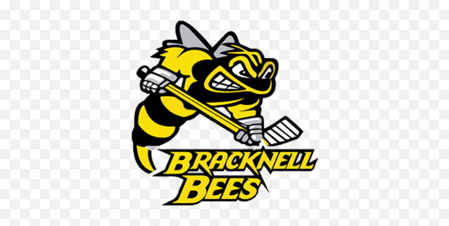 Bracknell Bees Logo Transparent Png - Stickpng Sarnia Sting Logo,Twitter Logog