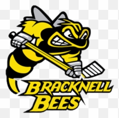 Bracknell Bees Logo Transparent Png - StickPNG Sarnia Sting