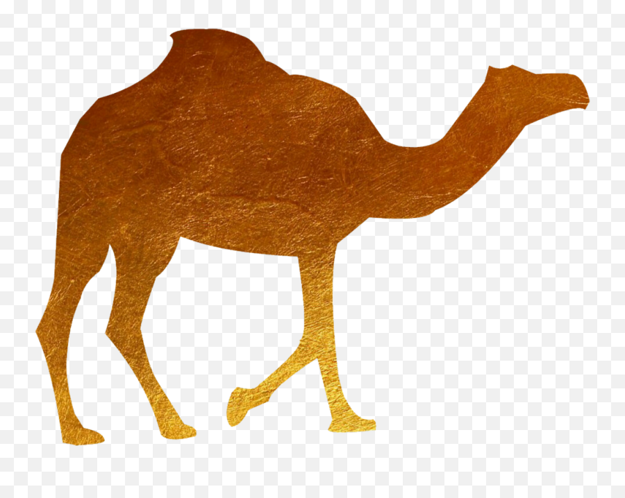 Download Animal Camel Gold - Camel Png Image With No Clipart Black Camel,Camel Transparent Background