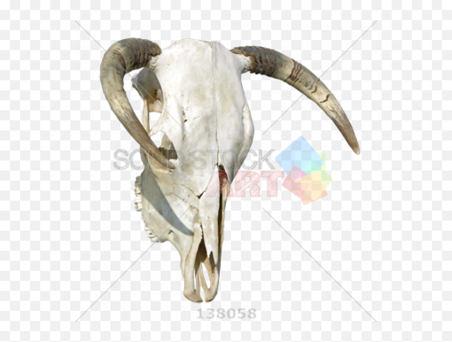 Cow Skull Png Transparent Images - Horn,Cow Skull Png