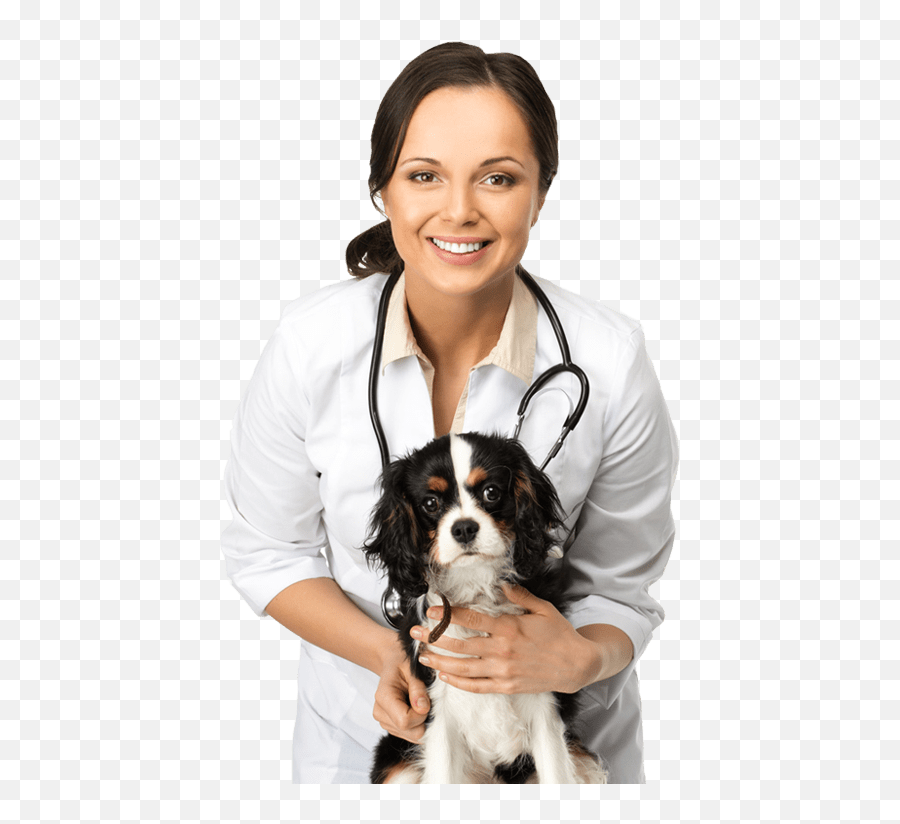 Hollywood Veterinarian - Affordable Animal Hospital Vet In Health Png,Veterinarian Png