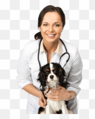 Hollywood Veterinarian - Affordable Animal Hospital Vet In Health Png,Veterinarian Png
