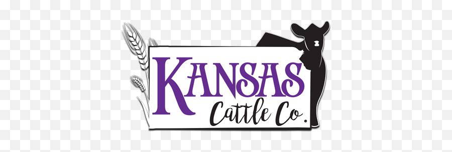 Brand History - Kansas Cattle Company Png,Cattle Brand Logo