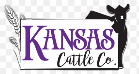 Brand History - Kansas Cattle Company Png,Cattle Brand Logo