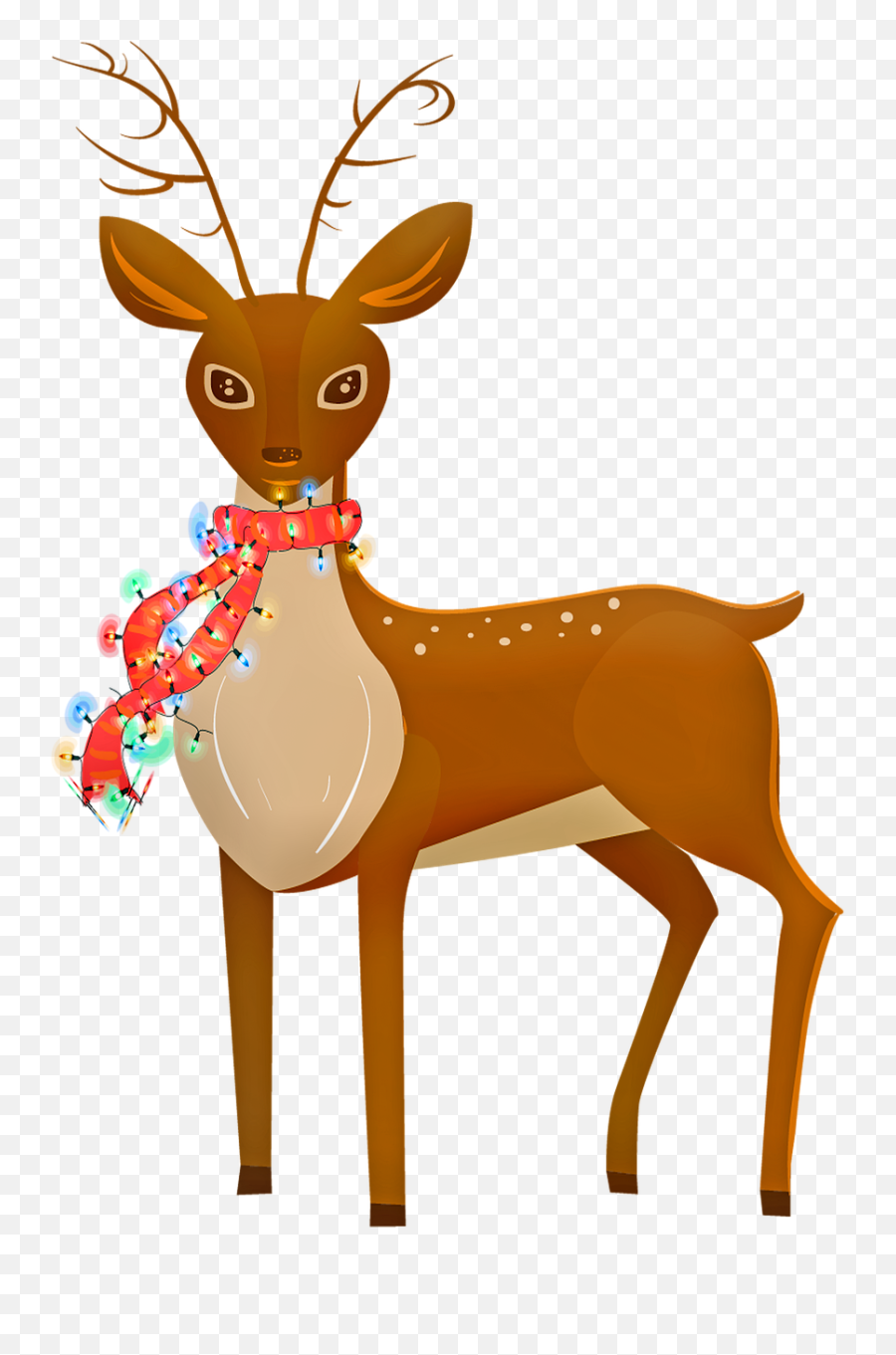 Reindeer Animal Christmas Lights - Free Image On Pixabay Png,Christmas Antlers Png