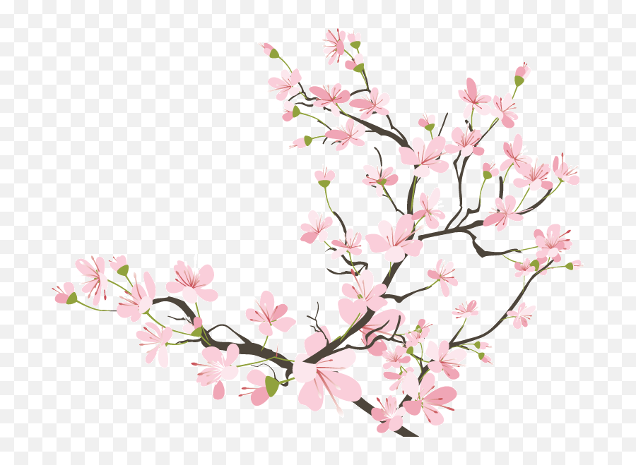 Cherry Blossom Clipart Transparent Tumblr - Transparent Transparent Background Cherry Blossoms Transparent Png,Cherry Blossom Branch Png