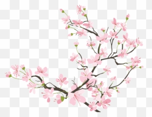 Cherry Blossom Clipart Transparent Tumblr - Background Blossoms png
