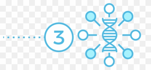 Select App U2013 Genebase - Dot png