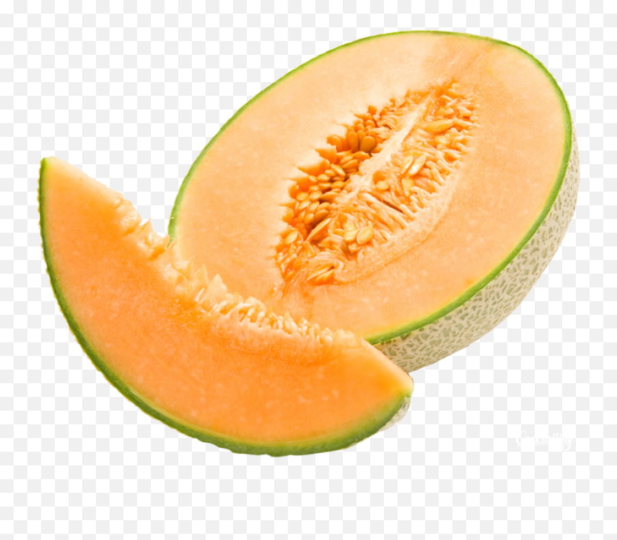 Melon Png Images Free Download - Melon Png,Cantaloupe Png
