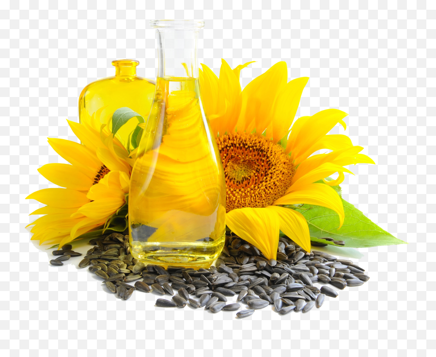 Sunflower Seed And Oil Png Photo - Sunflower Oil Png,Oil Png