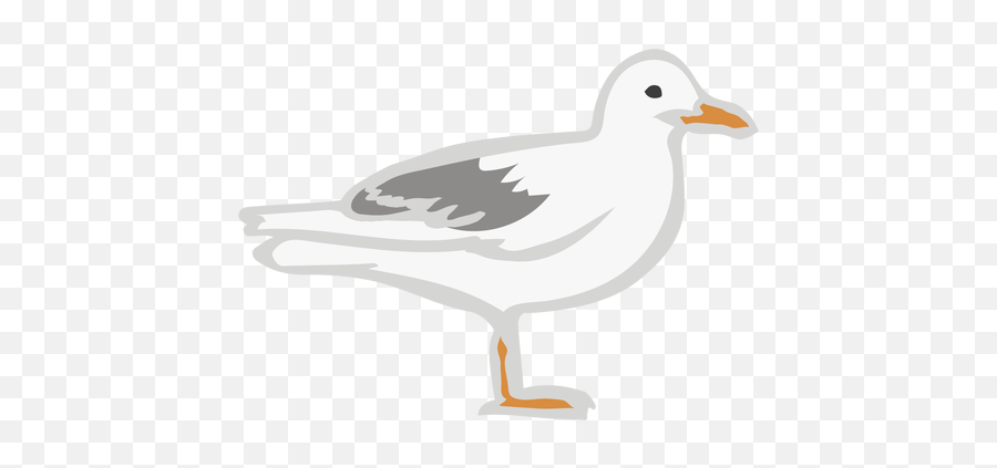 Seagull Bird Flat Animal - Transparent Png U0026 Svg Vector File European Herring Gull,Seagull Png