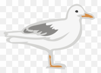 Seagull Bird Flat Animal - Transparent Png U0026 Svg Vector File European Herring Gull,Seagull Png
