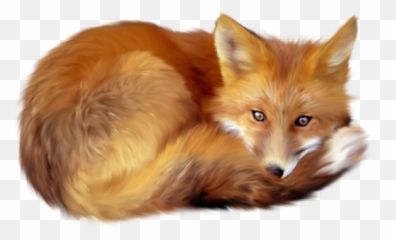 Download Fox Png 5 Hq Image In - Fox Animal Png,Fox Png