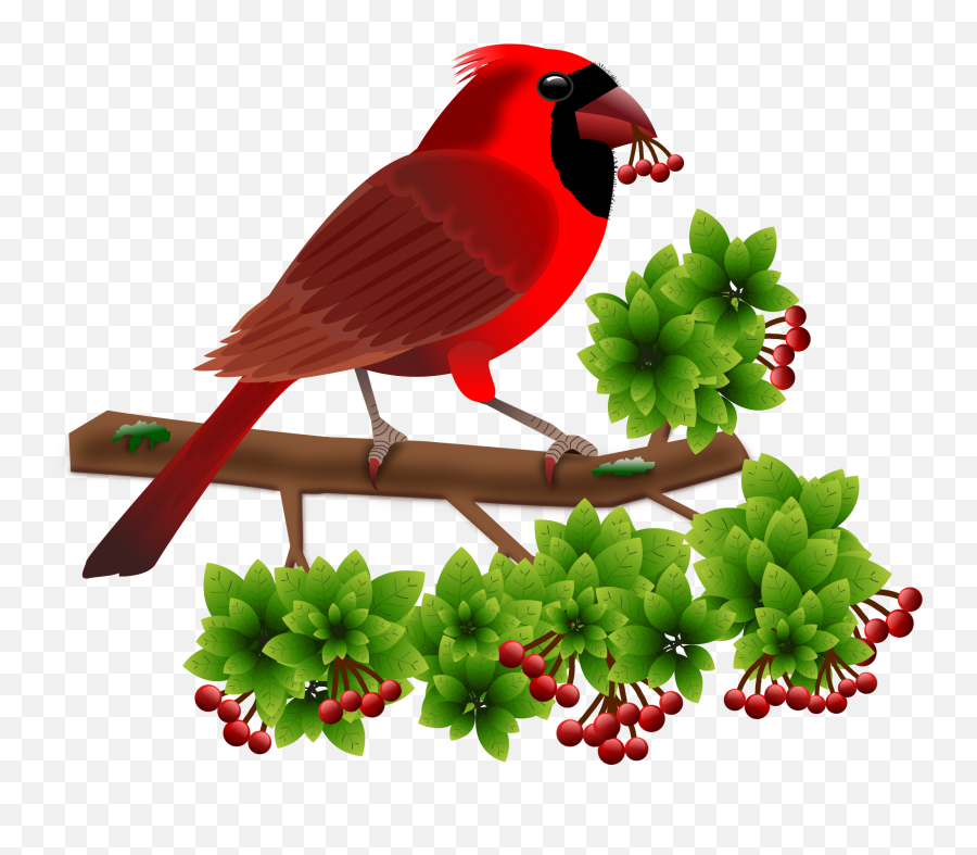 150 Clip Art Everyday For Cards Scrapbooking Picture - Birds Ppt Back Ground Png,Redsnow Icon