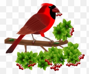 150 Clip Art Everyday For Cards Scrapbooking Picture - Birds Ppt Back Ground Png,Redsnow Icon
