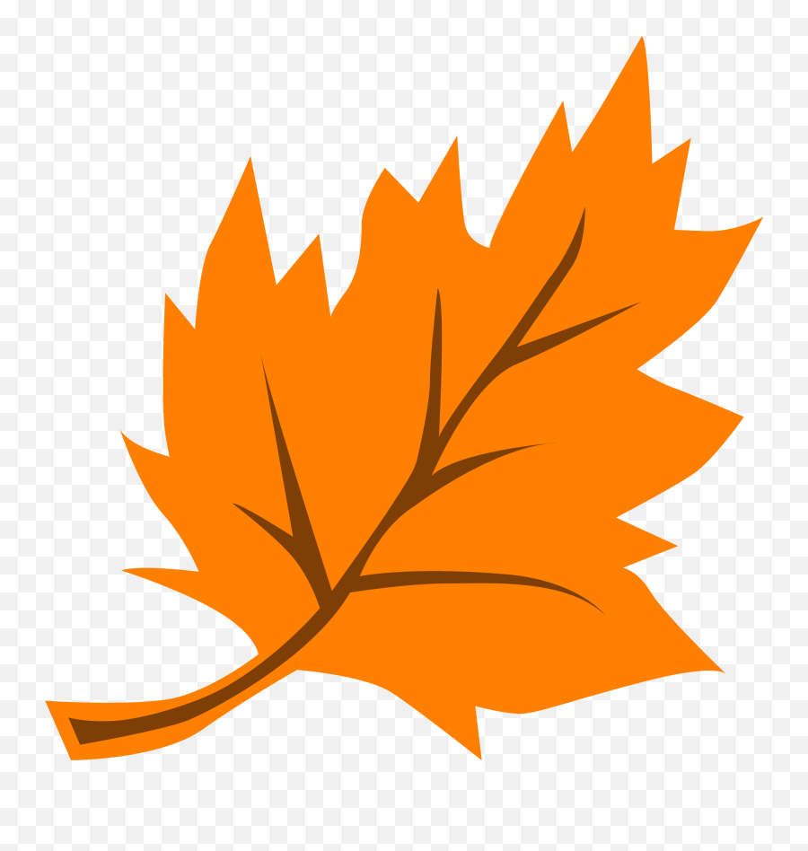 Orange Fall Autumn Leaf - Swan Hills School Transparent Background Fall Leaf Clipart Png,Autumn Leaves Icon