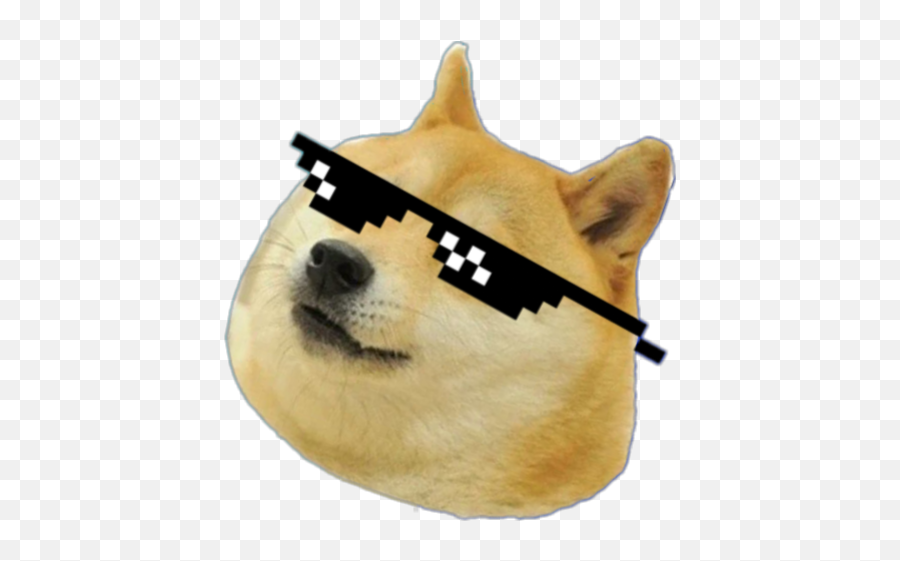 Download Hd Mlg Doge Png Doge Transparent Png Image Mlg Doge 