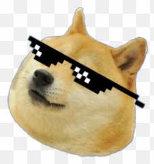 Download Hd Mlg Doge Png - Transparent PNG Image Background