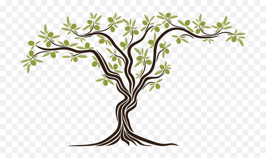 An Olive Tree Sprouted Simbol Of Peace - Olive Tree Clipart Png,Olive Tree Png