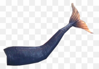 Mermaid Tail Psd Official Psds - Flying Fish Png,Mermaid Tail Png