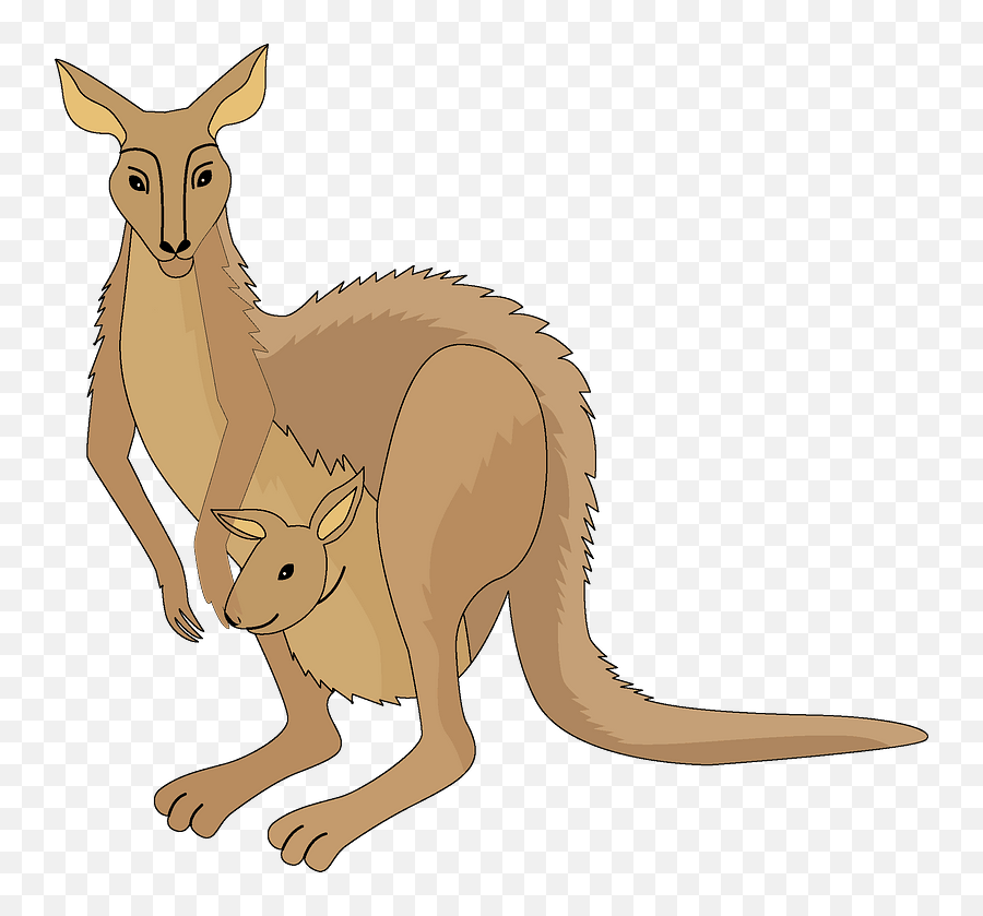 Kangaroo Clipart Free Download In Png Or Vector Format - Kangaroo,Kangaroo Png