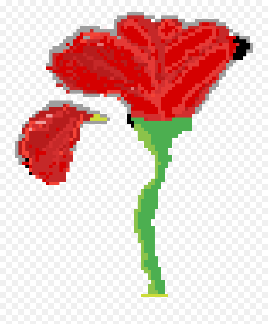 Pixilart - Dead Rose By Anonymous Anthurium Png,Dead Rose Png