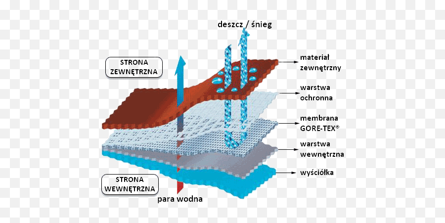 Filegoretex Schema - Plpng Wikimedia Commons Gore Tex Layers,Gore Png