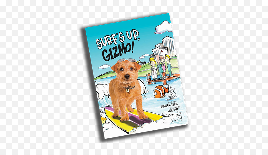 Gizmo The Surfing Dog Heads To Nch - Nicklaus Childrenu0027s Png,Gizmo Png