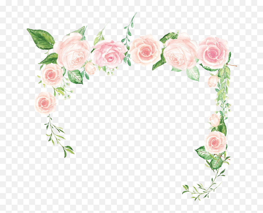 Pink Flower Rose Green - Rose Border Png Download 800800 Hybrid Tea Rose,Roses Border Png