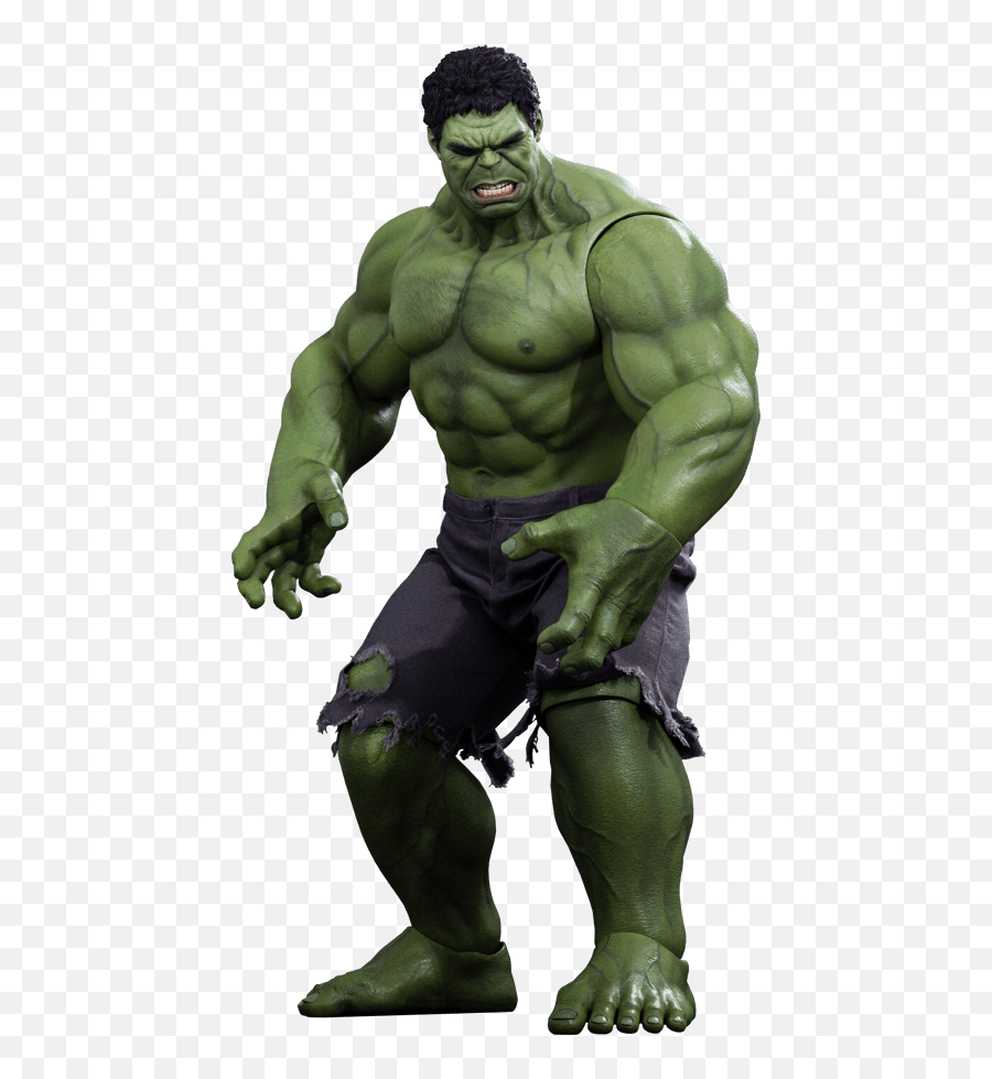 Marvel Hulk Sixth Scale Figure By Hot Toys - Avengers Hulk Hot Toys Png,The Hulk Png