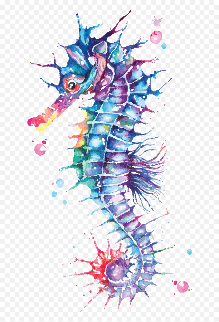Seahorse Painted With Watercolor - Download Free Vectors Watercolor Seahorse Painting Png,Sea Horse Png